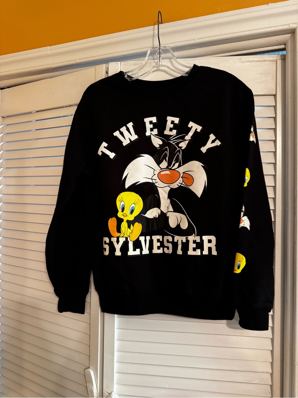 Black Tweety & Sylvester Graphic Crewneck Sweater